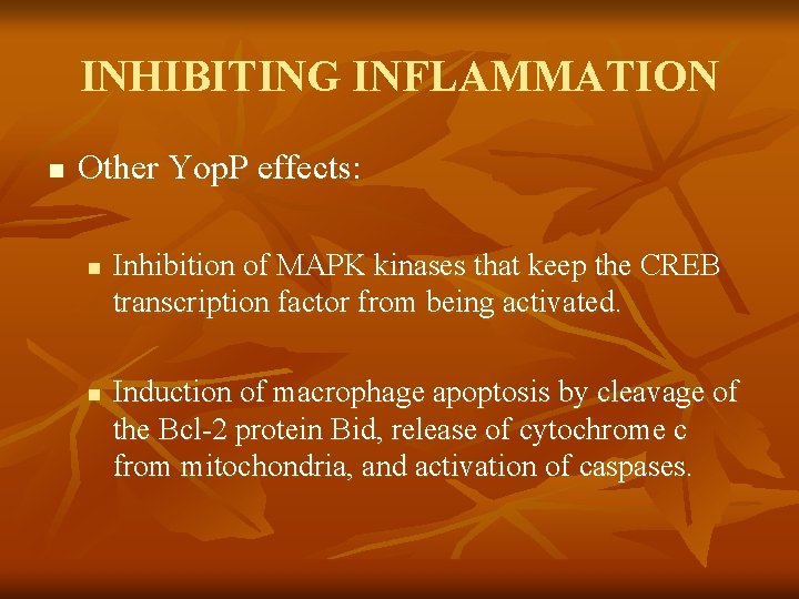 INHIBITING INFLAMMATION n Other Yop. P effects: n n Inhibition of MAPK kinases that