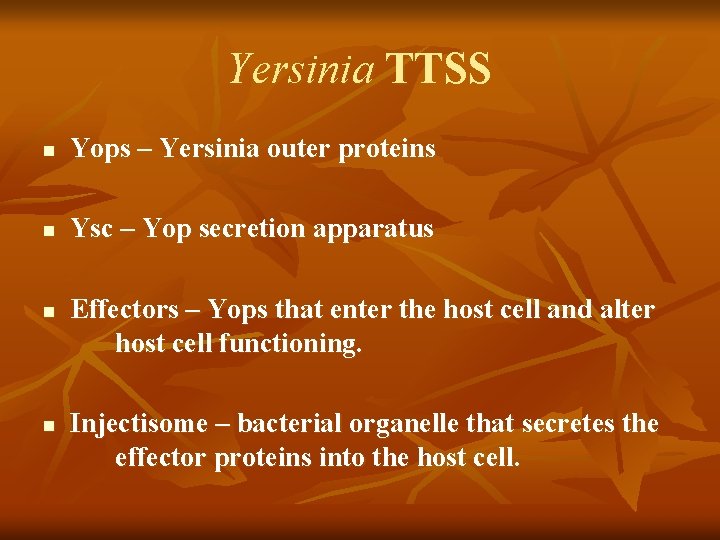 Yersinia TTSS n Yops – Yersinia outer proteins n Ysc – Yop secretion apparatus Yersinia TTSS n Yops – Yersinia outer proteins n Ysc – Yop secretion apparatus
