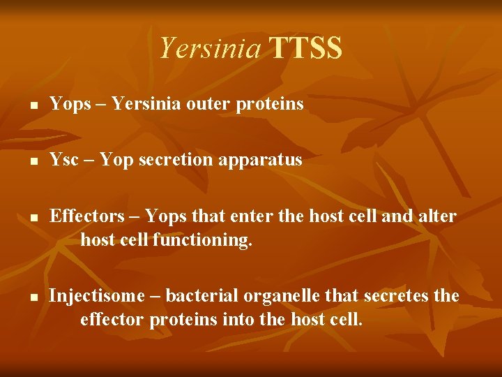 Yersinia TTSS n Yops – Yersinia outer proteins n Ysc – Yop secretion apparatus