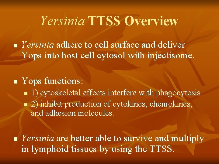 Yersinia TTSS Overview n n Yersinia adhere to cell surface and deliver Yops into