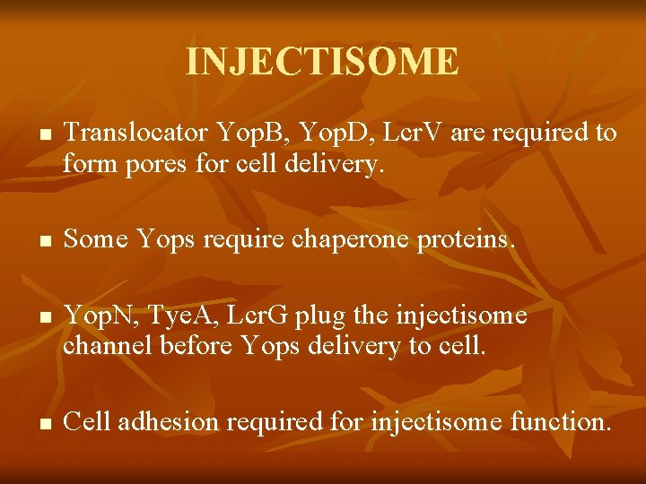 INJECTISOME n n Translocator Yop. B, Yop. D, Lcr. V are required to form