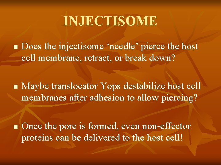 INJECTISOME n n n Does the injectisome ‘needle’ pierce the host cell membrane, retract,