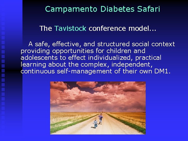 Campamento Diabetes Safari The Tavistock conference model. . . A safe, effective, and structured