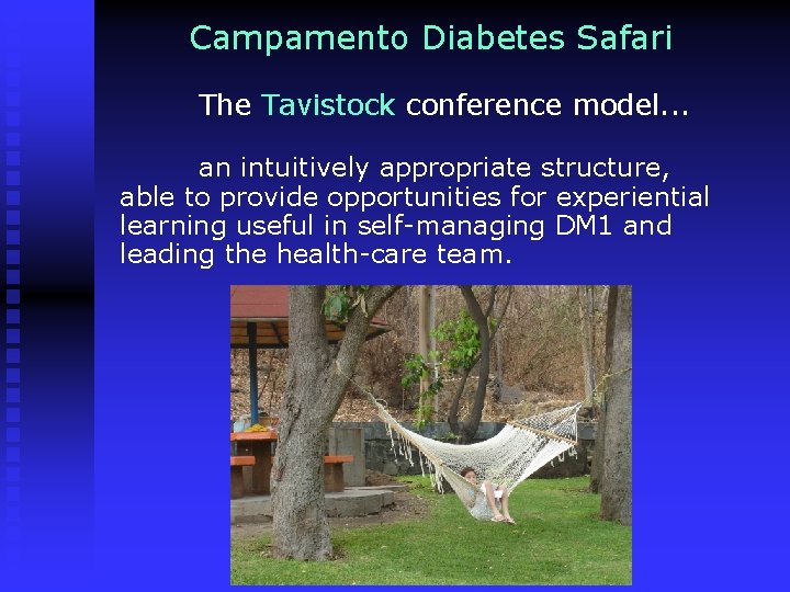 Campamento Diabetes Safari The Tavistock conference model. . . an intuitively appropriate structure, able