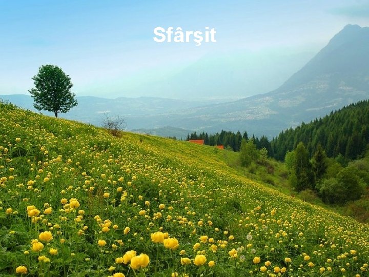 Sfârşit 