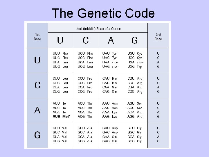 The Genetic Code 