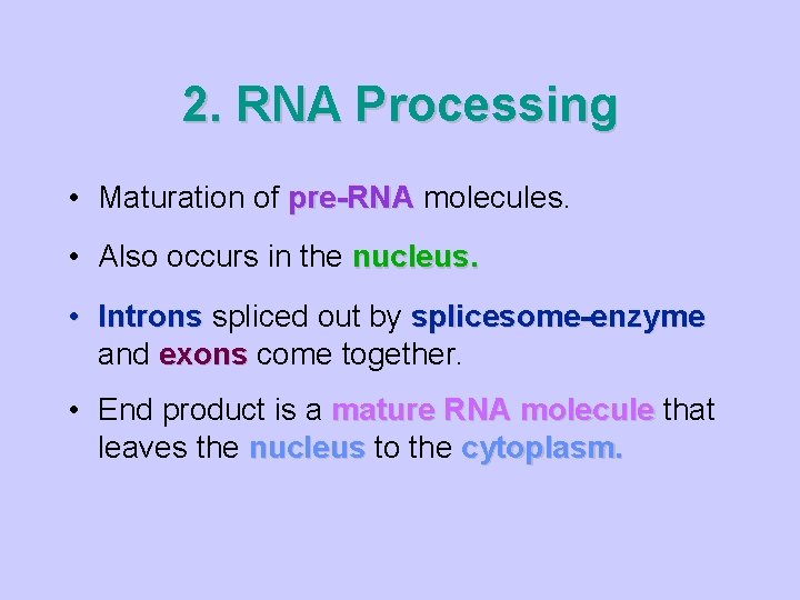 2. RNA Processing • Maturation of pre-RNA molecules. • Also occurs in the nucleus.