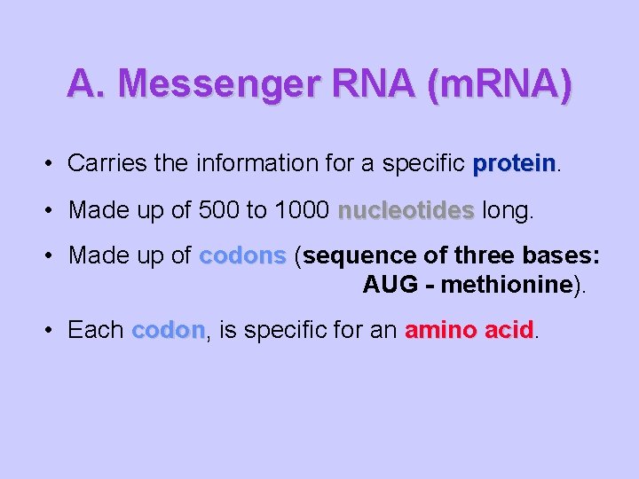 A. Messenger RNA (m. RNA) • Carries the information for a specific protein •