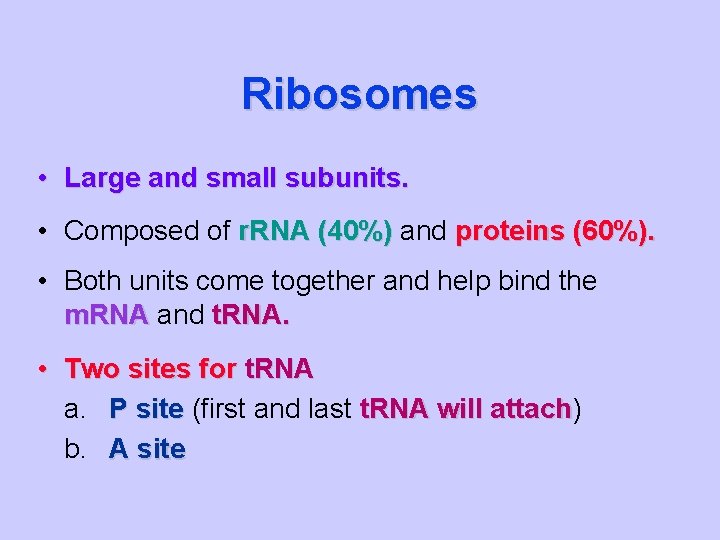 Ribosomes • Large and small subunits. • Composed of r. RNA (40%) and proteins