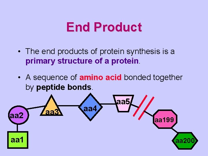 End Product • The end products of protein synthesis is a primary structure of