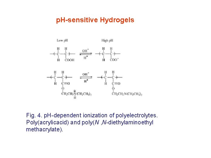 p. H-sensitive Hydrogels Fig. 4. p. H-dependent ionization of polyelectrolytes. Poly(acrylicacid) and poly(N , p. H-sensitive Hydrogels Fig. 4. p. H-dependent ionization of polyelectrolytes. Poly(acrylicacid) and poly(N ,