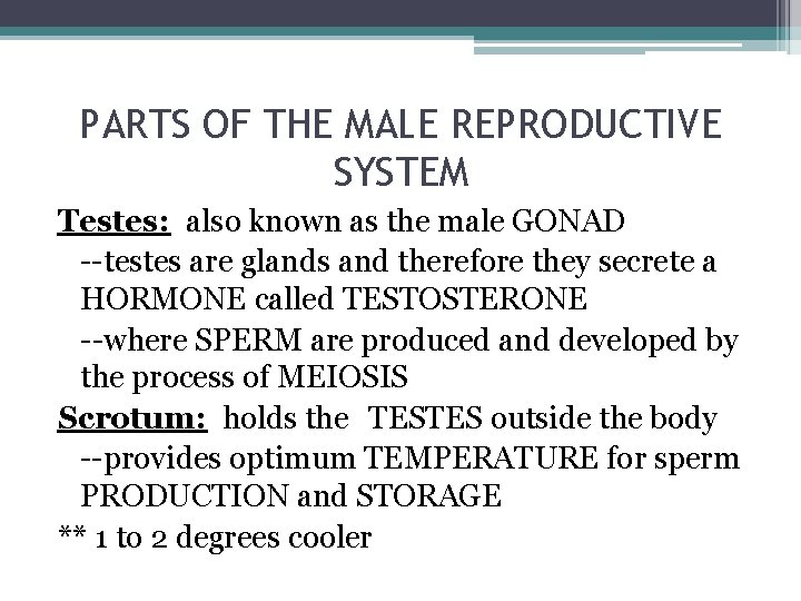 PARTS OF THE MALE REPRODUCTIVE SYSTEM Testes: also known as the male GONAD --testes