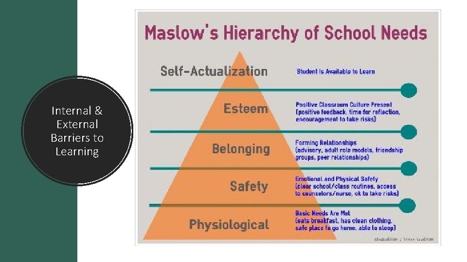 Internal & External Barriers to Learning 