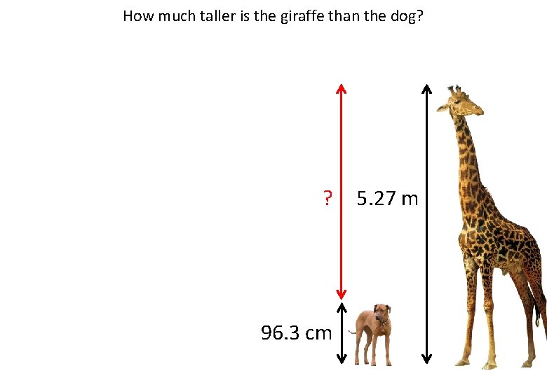 How much taller is the giraffe than the dog? ? 96. 3 cm 5.