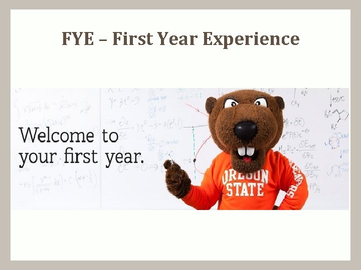 FYE – First Year Experience 