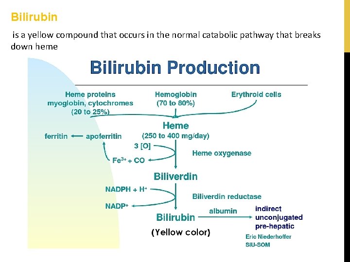 Bilirubin is a yellow compound that occurs in the normal catabolic pathway that breaks