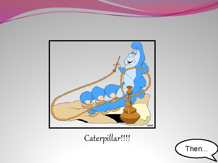 Caterpillar!!!! Then. . . 