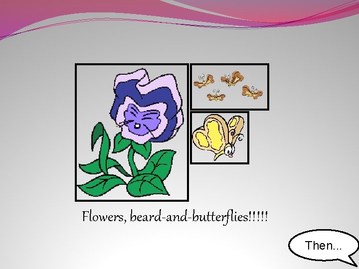 Flowers, beard-and-butterflies!!!!! Then. . . 