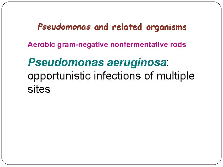 Pseudomonas and related organisms Aerobic gram-negative nonfermentative rods Pseudomonas aeruginosa: opportunistic infections of multiple