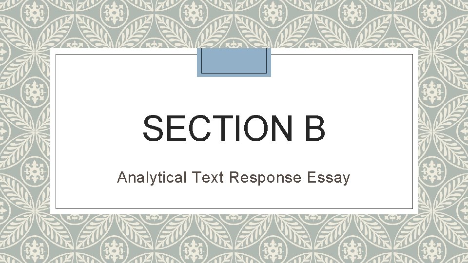 SECTION B Analytical Text Response Essay 