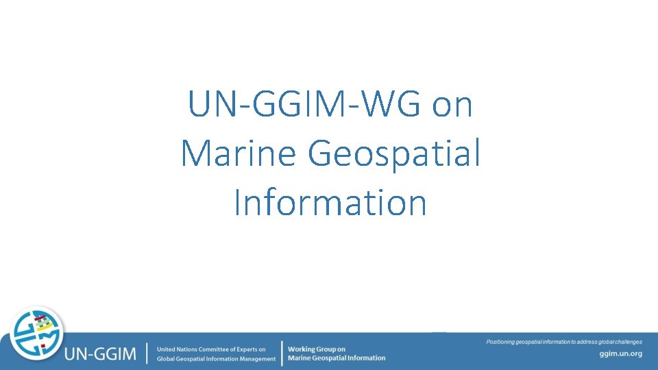 UN-GGIM-WG on Marine Geospatial Information 