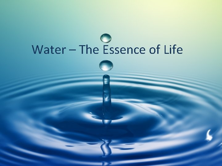 Water – The Essence of Life 