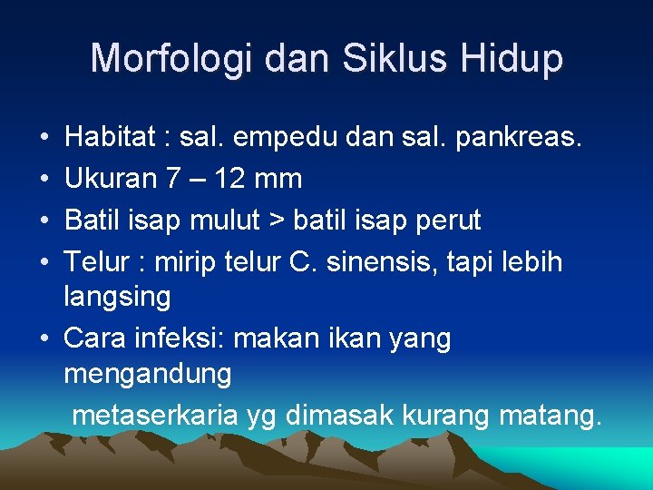 Morfologi dan Siklus Hidup • • Habitat : sal. empedu dan sal. pankreas. Ukuran