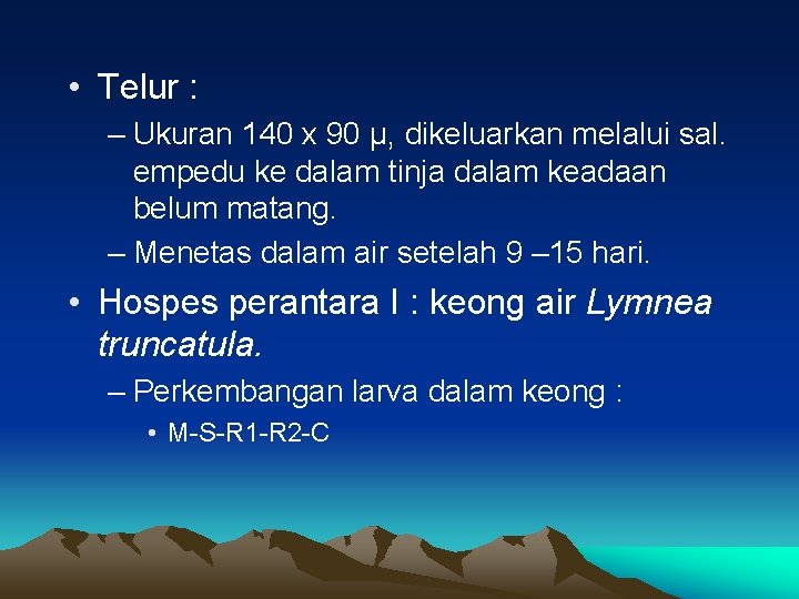  • Telur : – Ukuran 140 x 90 μ, dikeluarkan melalui sal. empedu