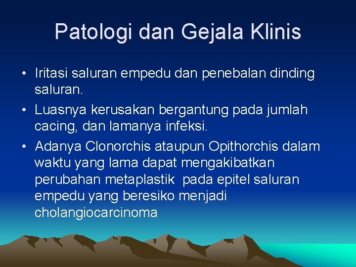 Patologi dan Gejala Klinis • Iritasi saluran empedu dan penebalan dinding saluran. • Luasnya