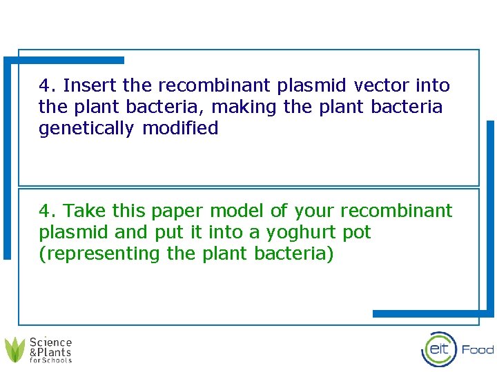 4. Insert the recombinant plasmid vector into the plant bacteria, making the plant bacteria