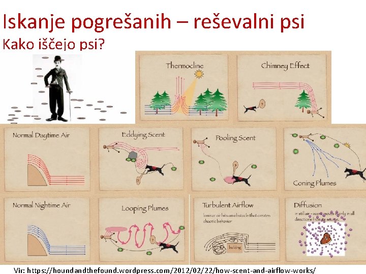 Iskanje pogrešanih – reševalni psi Kako iščejo psi? Vir: https: //houndandthefound. wordpress. com/2012/02/22/how-scent-and-airflow-works/ 