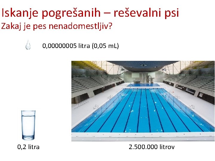 Iskanje pogrešanih – reševalni psi Zakaj je pes nenadomestljiv? 0, 00000005 litra (0, 05