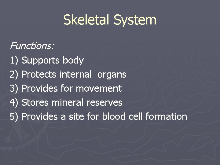 Skeletal System Functions: 1) Supports body 2) Protects internal organs 3) Provides for movement