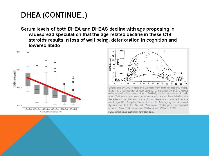 DHEA (CONTINUE. . ) Serum levels of both DHEA and DHEAS decline with age