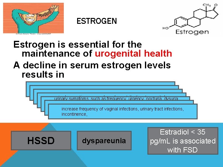 ESTROGEN Estrogen is essential for the maintenance of urogenital health A decline in serum