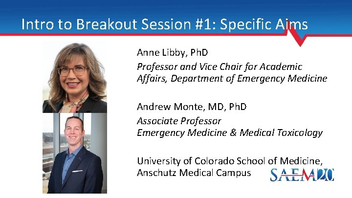 Intro to Breakout Session #1: Specific Aims Anne Libby, Ph. D Professor and Vice