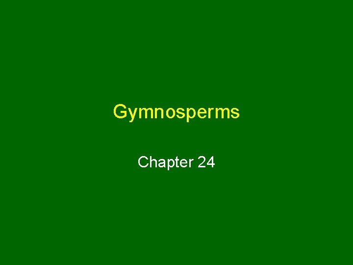 Gymnosperms Chapter 24 