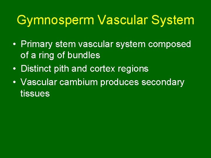 Gymnosperm Vascular System • Primary stem vascular system composed of a ring of bundles