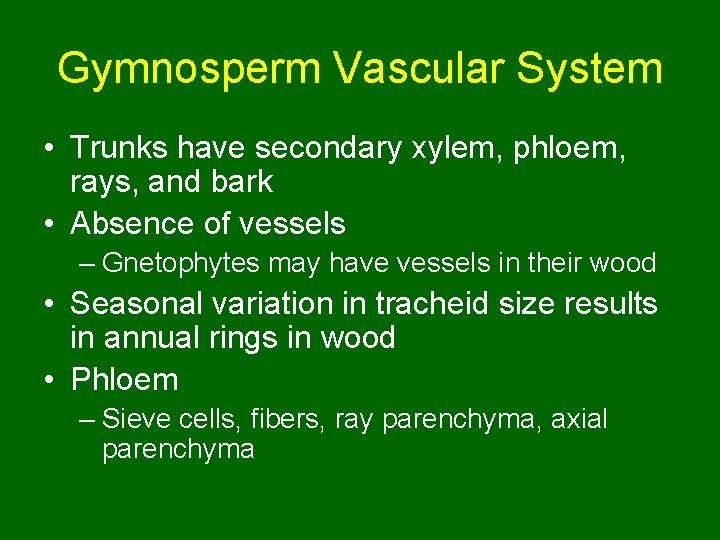 Gymnosperm Vascular System • Trunks have secondary xylem, phloem, rays, and bark • Absence