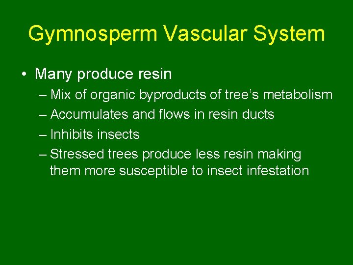 Gymnosperm Vascular System • Many produce resin – Mix of organic byproducts of tree’s