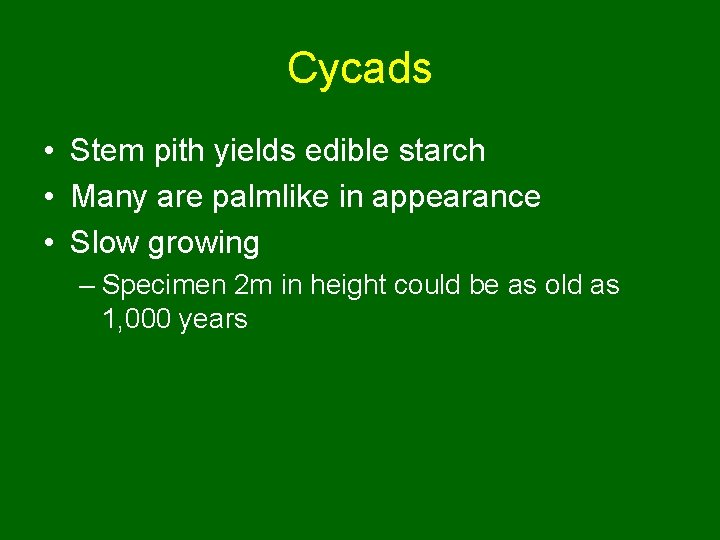 Cycads • Stem pith yields edible starch • Many are palmlike in appearance •