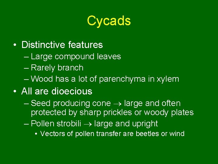 Cycads • Distinctive features – Large compound leaves – Rarely branch – Wood has