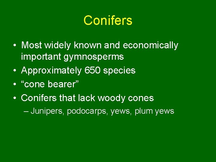 Conifers • Most widely known and economically important gymnosperms • Approximately 650 species •