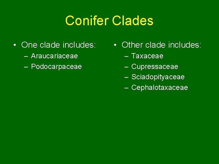 Conifer Clades • One clade includes: – Araucariaceae – Podocarpaceae • Other clade includes: