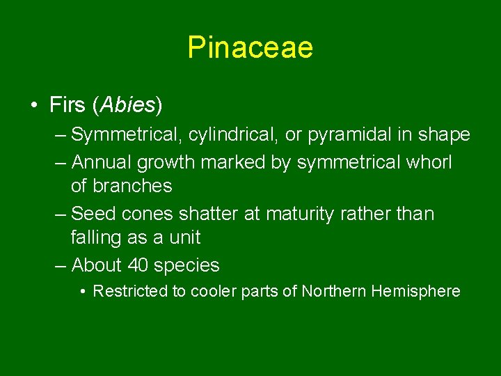 Pinaceae • Firs (Abies) – Symmetrical, cylindrical, or pyramidal in shape – Annual growth