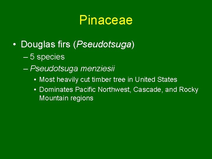 Pinaceae • Douglas firs (Pseudotsuga) – 5 species – Pseudotsuga menziesii • Most heavily