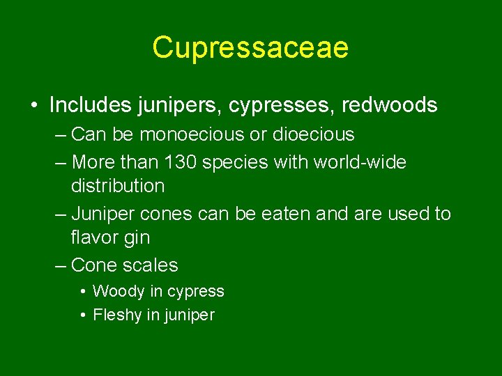 Cupressaceae • Includes junipers, cypresses, redwoods – Can be monoecious or dioecious – More