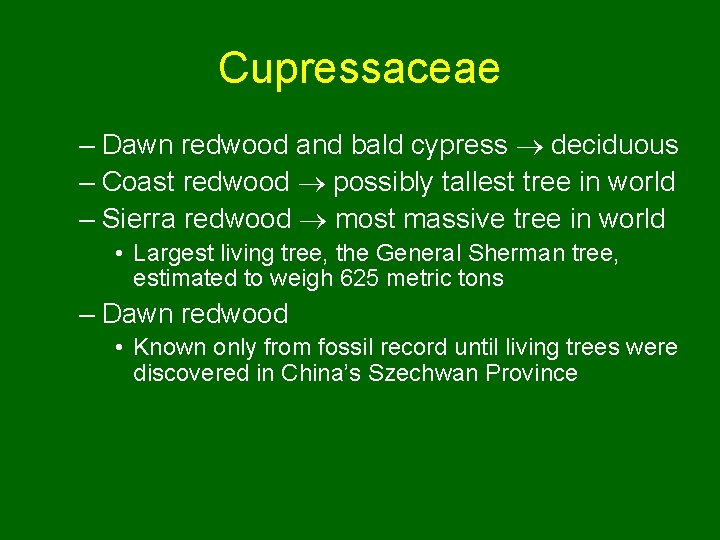 Cupressaceae – Dawn redwood and bald cypress deciduous – Coast redwood possibly tallest tree