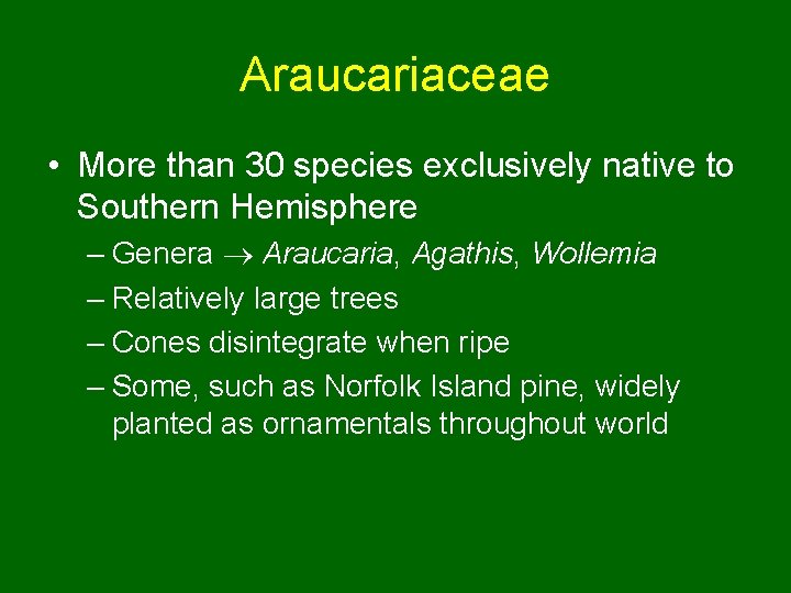 Araucariaceae • More than 30 species exclusively native to Southern Hemisphere – Genera Araucaria,