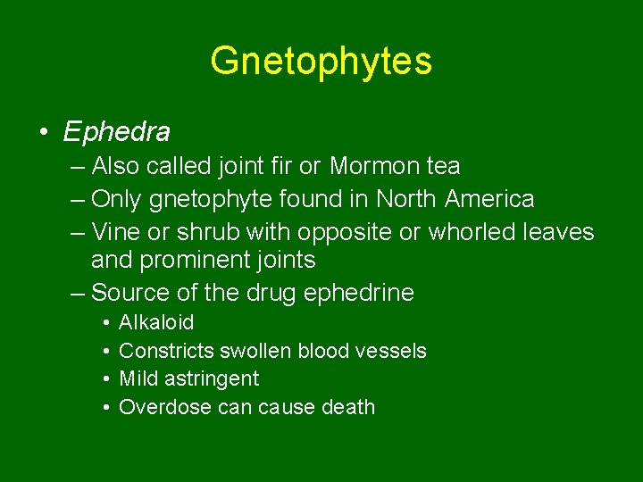 Gnetophytes • Ephedra – Also called joint fir or Mormon tea – Only gnetophyte